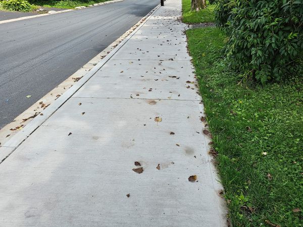 Cost of Sidewalk Renovation in Shawnee