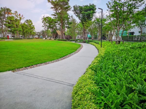 Cost of Cement Walkway Service in Shawnee